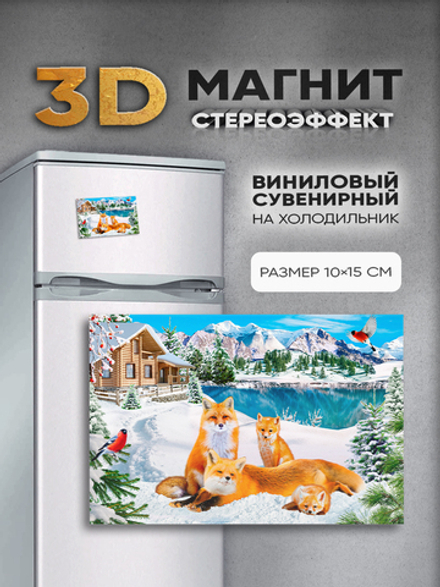 Стереомагнит с 3D-эффектом "Лисы"