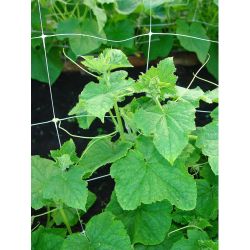 GGN-3 GREEN APPLE Сеть садовая для вьющихся 1,8*2,7м