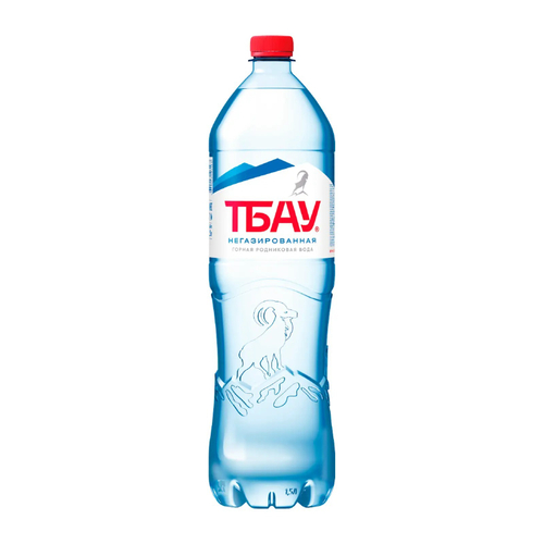 Вода минеральная ТБАУ негазированная, 1 л