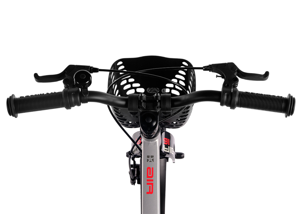 Maxiscoo AIR Pro 16'' (2025)