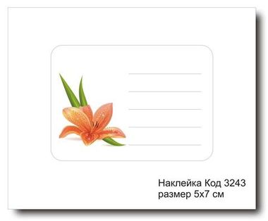 Наклейка код 3243 размер 5х7 см  - комплект 5 шт