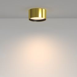 Светильник потолочная светодиодный Maytoni   C091CL-12W3K-BS