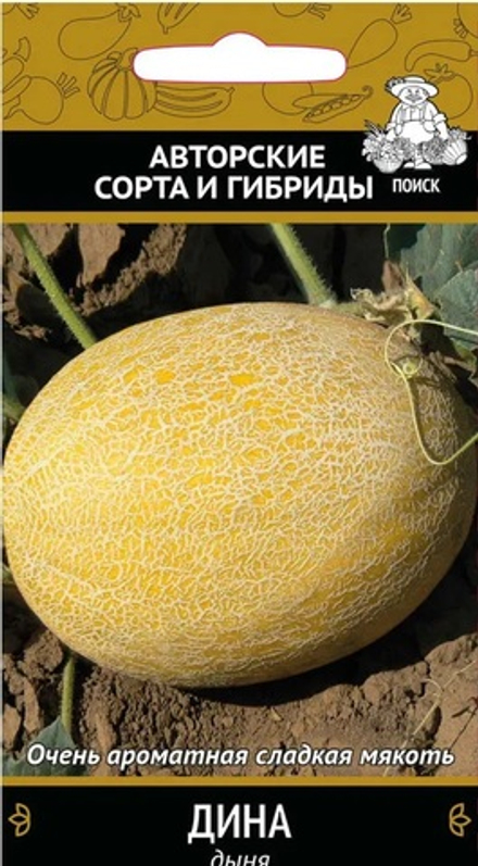 Дыня Дина  15шт Поиск