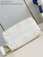 Louis Vuitton Speedy 20