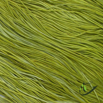 Перо из седла петуха Olive
