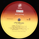 Peter Green / Little Dreamer (LP)