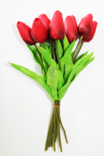 Тюльпан латексный