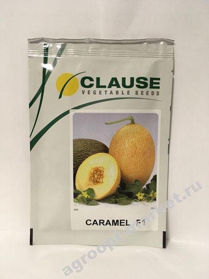 Карамель F1 семена дыни (Clause / Клос) – фото 3