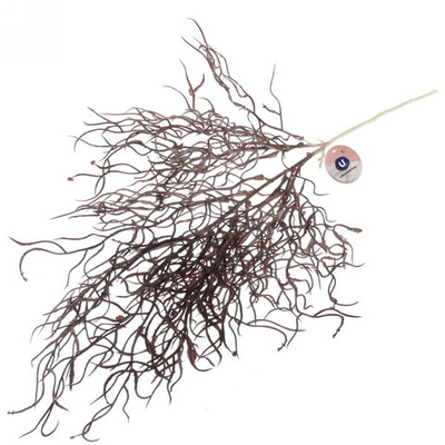 Искусственные цветы «Полевые цветы» 67см цвет пыльный графит 30