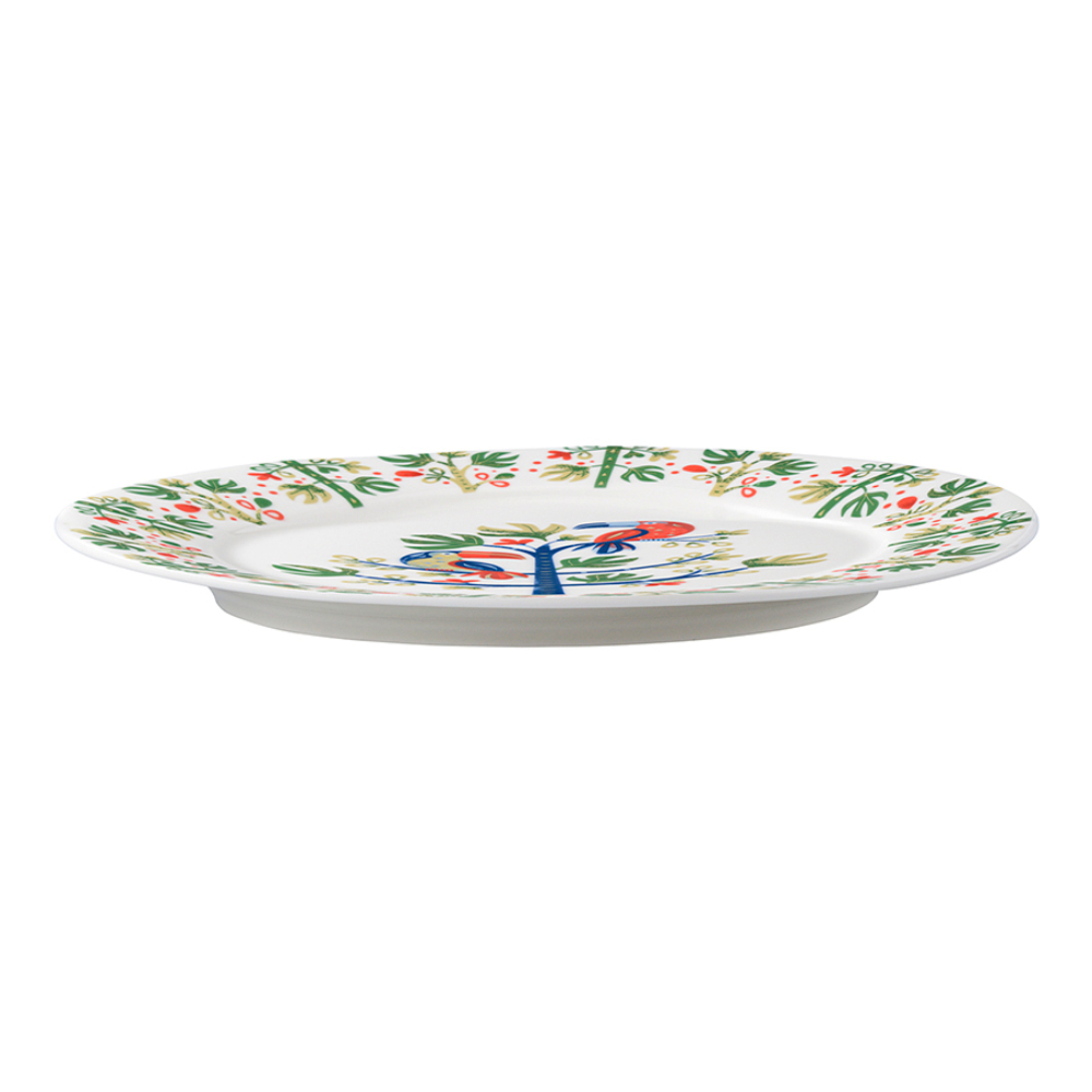 Набор тарелок toucan из коллекции birds of paradise в подарочной упаковке, D28 см, 2 шт.