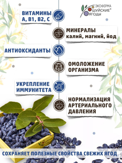 Мармелад из жимолости в горьком шоколаде без сахара / для диетического питания / веган, 195г