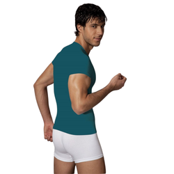 Мужская футболка изумрудная Doreanse 2535