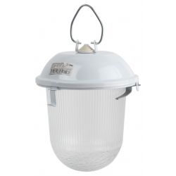 Светильник ЭРА «Желудь» НСП 41-200-001 без решетки сталь/стекло IP54 E27 max 200Вт 185х260 белый