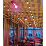 Уличный электрический обогреватель WWT ELCON BH-2000