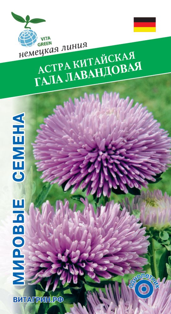 Астра китайская Гала Лавандовая 15шт Мировые Семена VITA GREEN