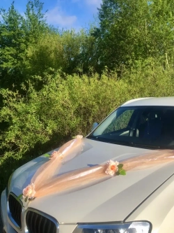 Лента на капот