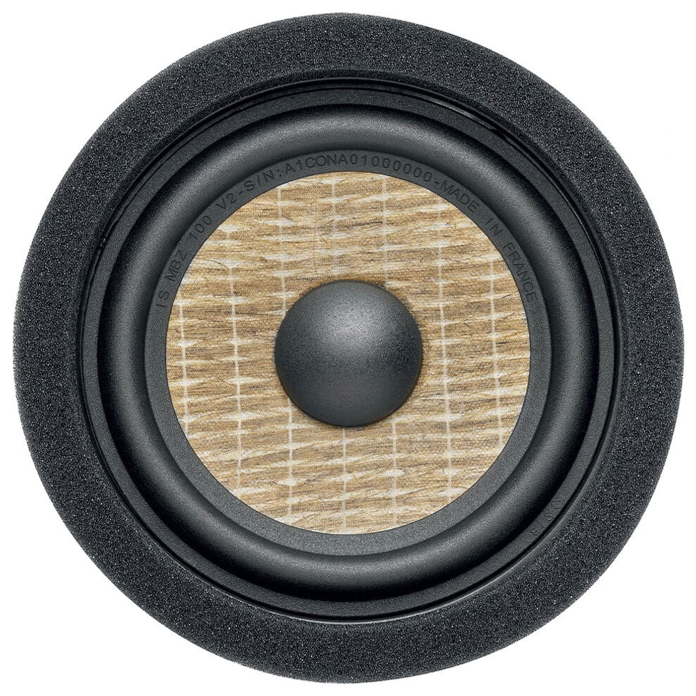 Focal IS MBZ100 V2