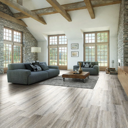 Westerhof Spark Star 6041-7