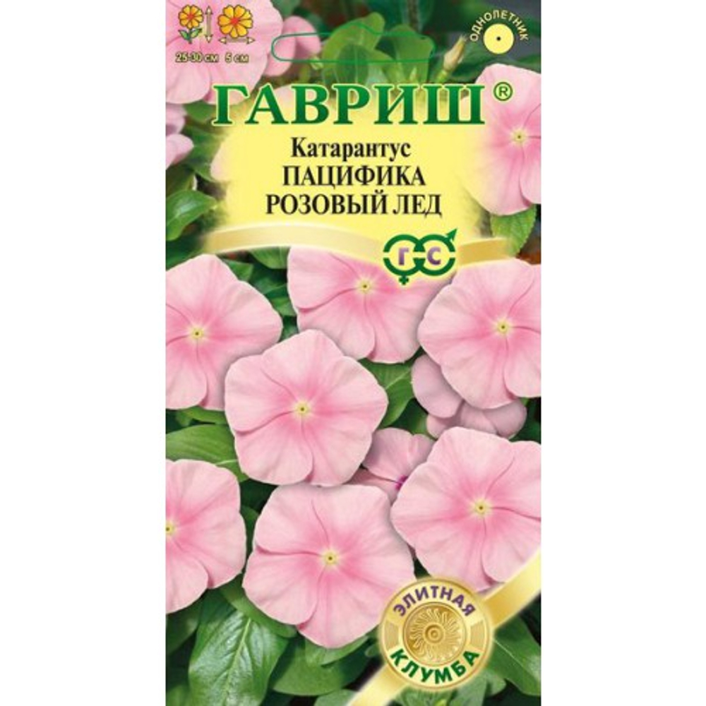 Катарантус Пацифика Розовый лед 7шт