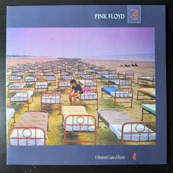 Виниловая пластинка Pink Floyd - A Momentary Lapse Of Reason LP