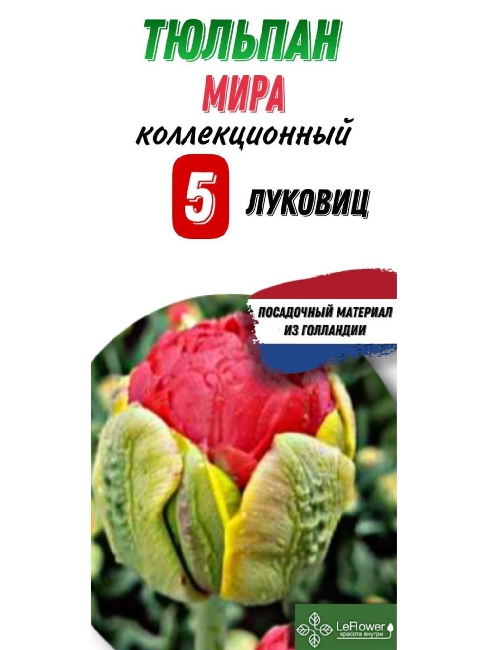 Тюльпан Луковица, Мира, 5шт
