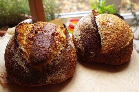 Аутолиз (автолиз) для пшеничного теста