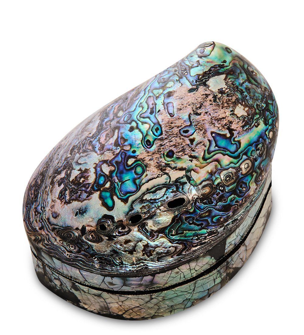 Decor and Gift 54-042 Декоративная шкатулка «Ракушка»