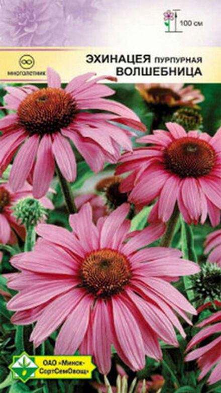 Эхинацея пурпурная "Волшебница" 0,3г., Германия.
