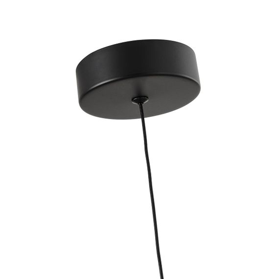 Подвесной светодиодный светильник Favourite Cattivo 4452-1P