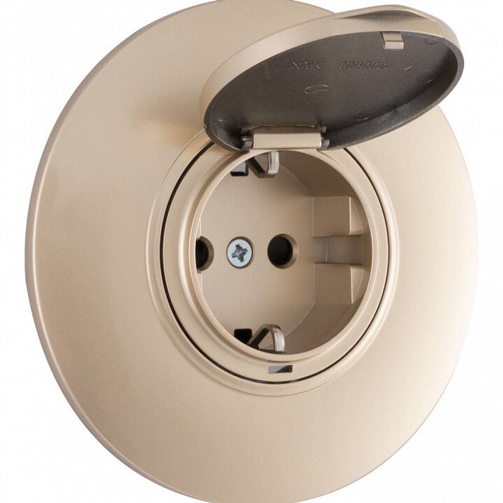 Розетка с заземлением и шторкой, с крышкой Arte Milano SET08-1 SET08-1-41-1 shampan