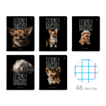 Тетрадь А5 48л. клетка "Особо опасные собачки" 5 видов (Альт)