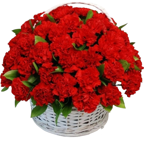 Ритуальная корзина из живых цветов «80 красных гвоздик, зелень»