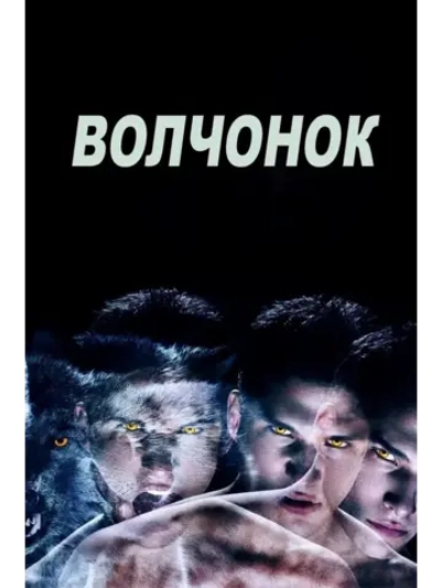Волчонок, 1 сезон (2011-2017) (КИНО USB)