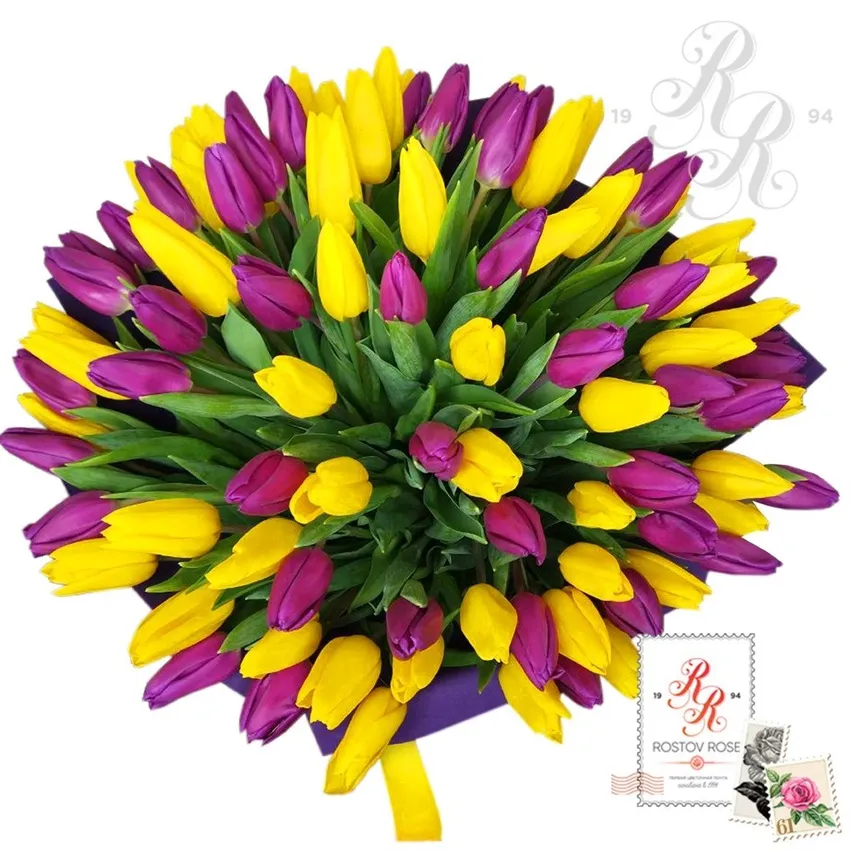 Фиолетово-желтый микс из тюльпанов