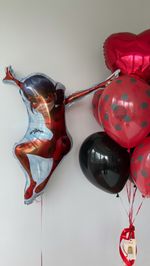 Воздушные шары №698