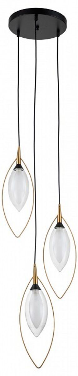 Подвесной светильник Indigo Fiore 13001/3P Black