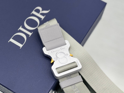 Christian Dior Saddle 26 cm