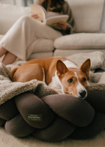 Лежанка "Пони-Колосони" Шоколад