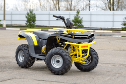 Квадроцикл IRBIS ATV 125