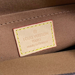 Louis Vuitton Multi Pochette Accessoires