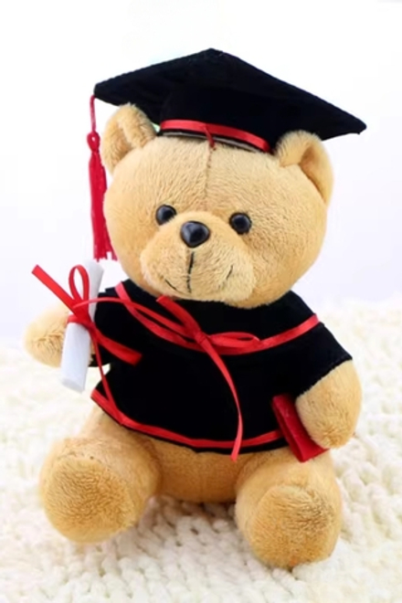 Мишка – выпускник 20см