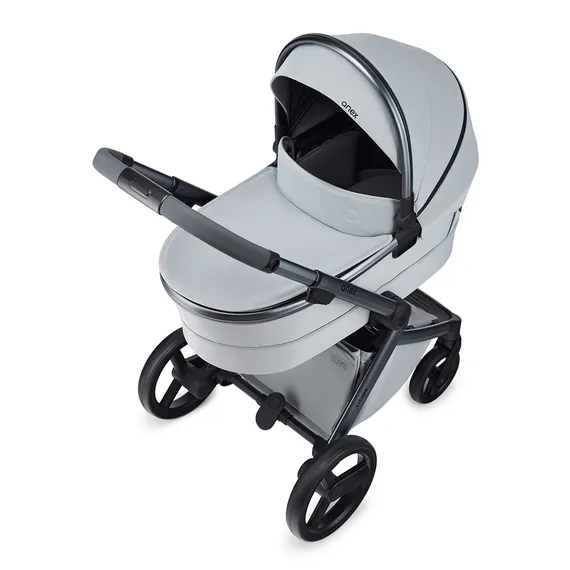 Коляска ANEX l/type 2 в 1 (lt-10t) frost + Аксесcуары