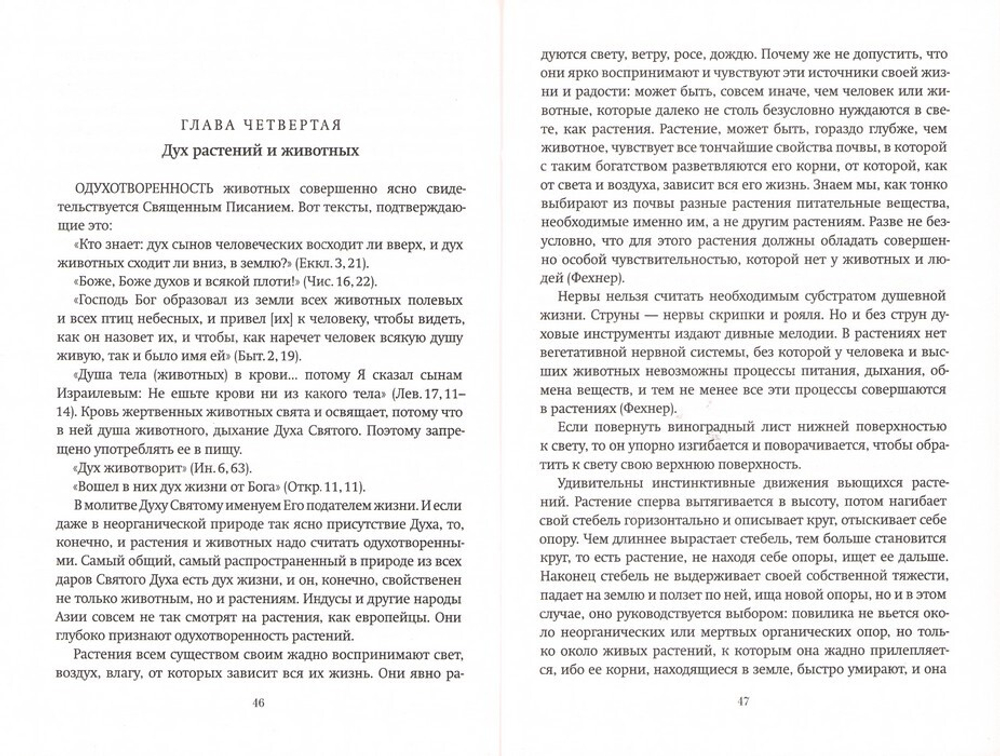 Дух, душа и тело. Святитель Лука (Войно-Ясенецкий)