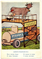 Открытка-агитка. 1954 г. Корова- рекордистка. Стихи  XF