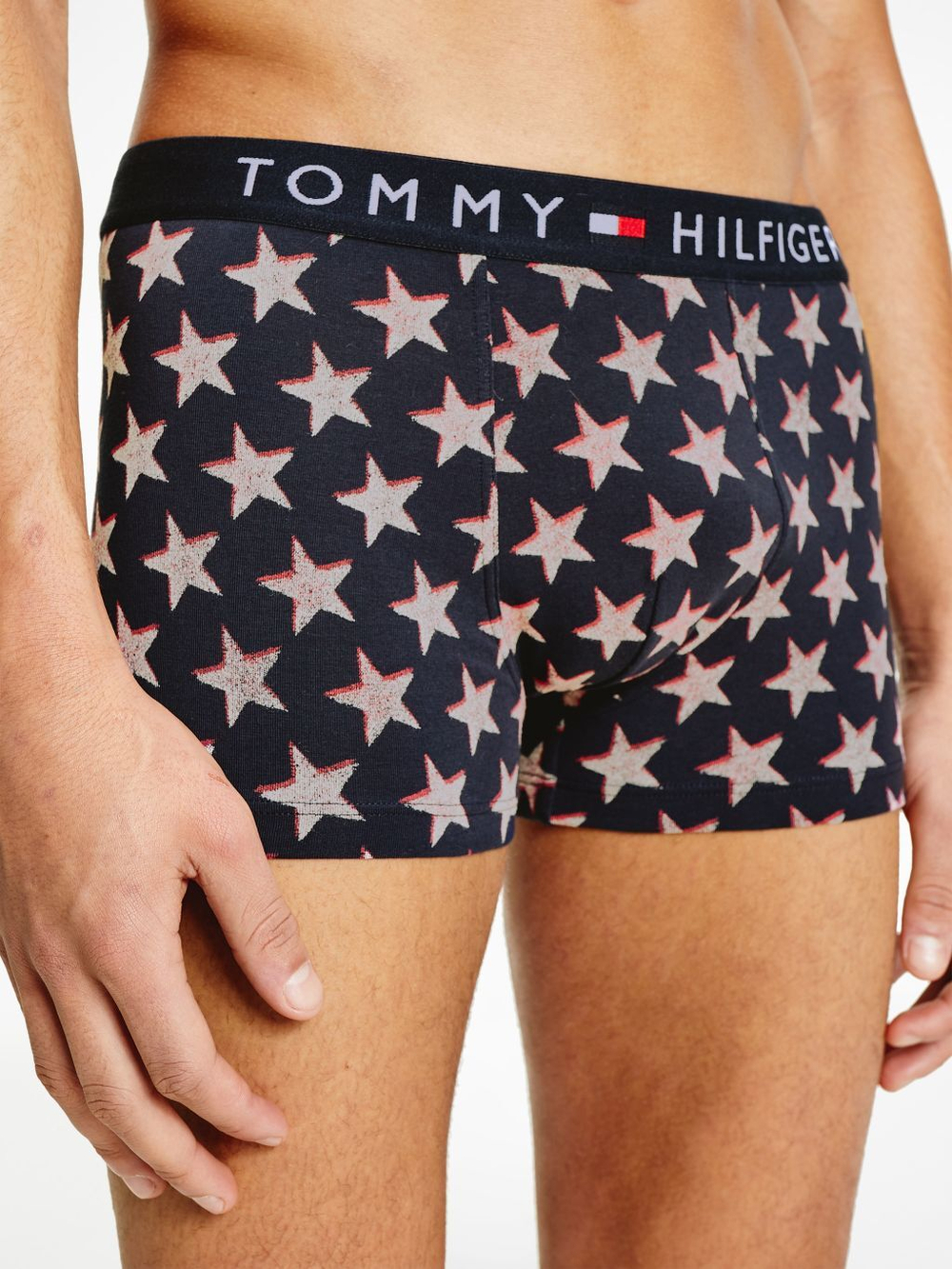 Мужские спортивные боксеры Tommy Hilfiger Trunk Print 1P - разноцветный
