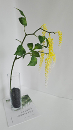 Скабиоза (лаконос) / Арт 4432