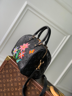 Louis Vuitton Speedy 25