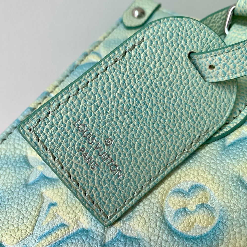 Louis Vuitton Onthego PM
