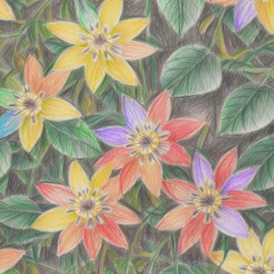 Нарисованные карандашом цветы пассифлоры