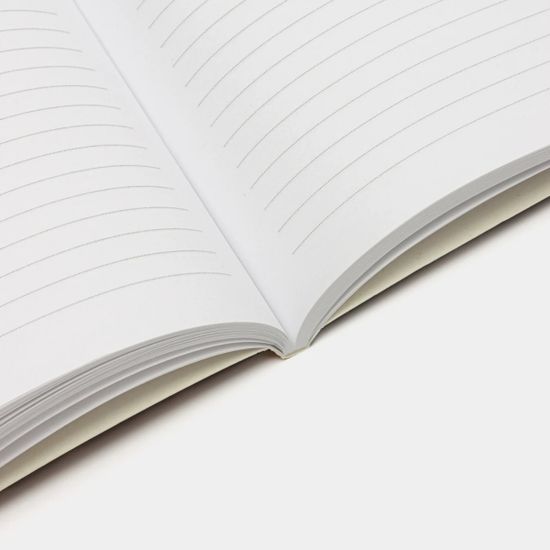 Ежедневник «Замышляю только шалость. Шалость удалась» 18+